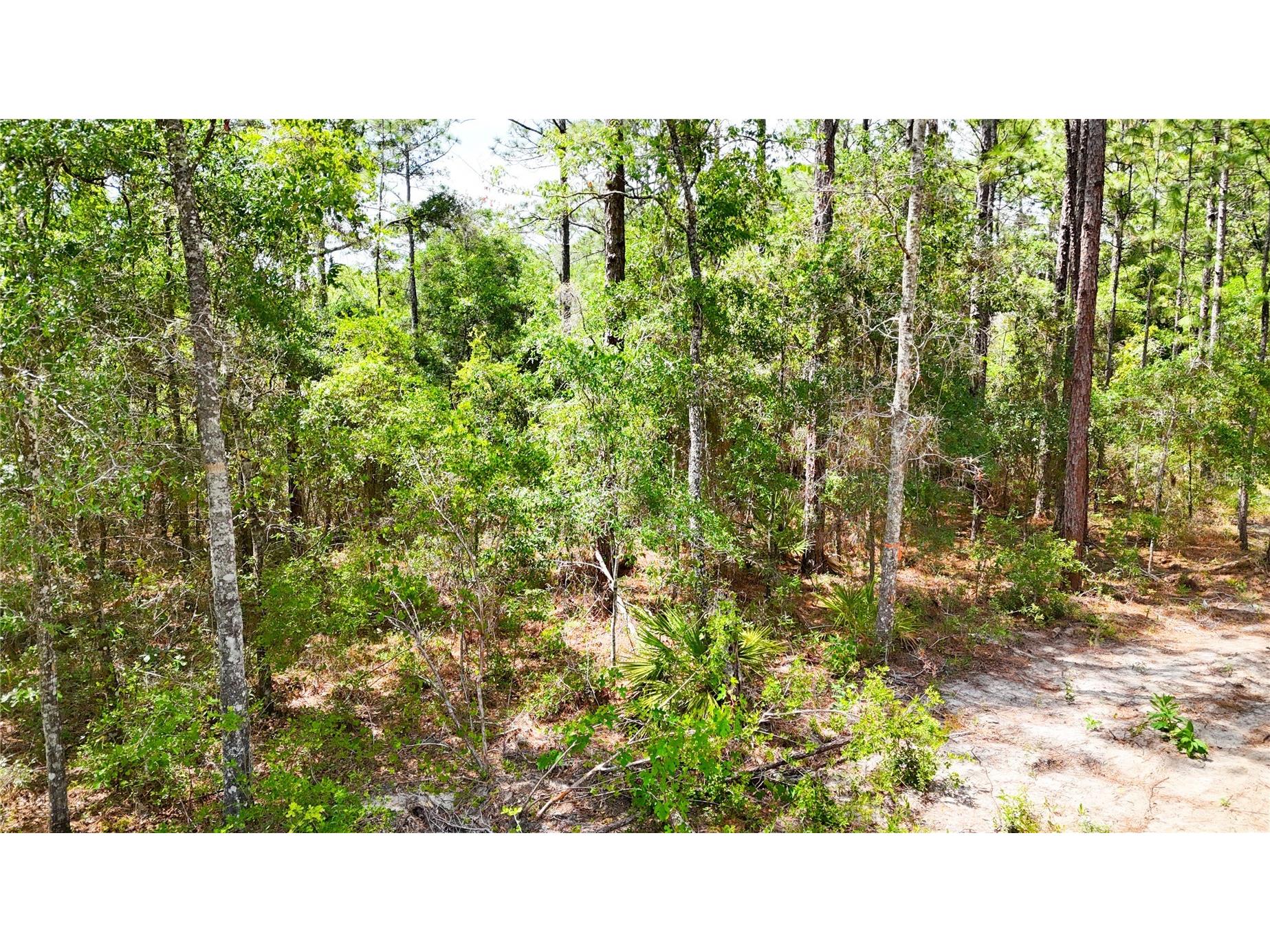 0 Windhaven Lane Brooksville FL 34614 W7885549 image10