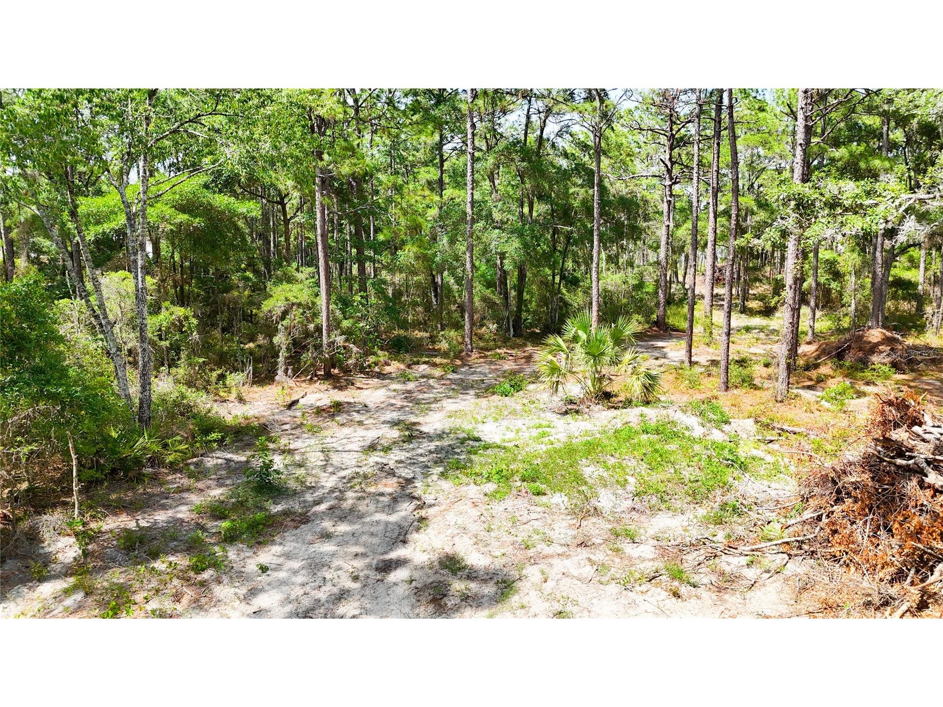 0 Windhaven Lane Brooksville FL 34614 W7885549 image11