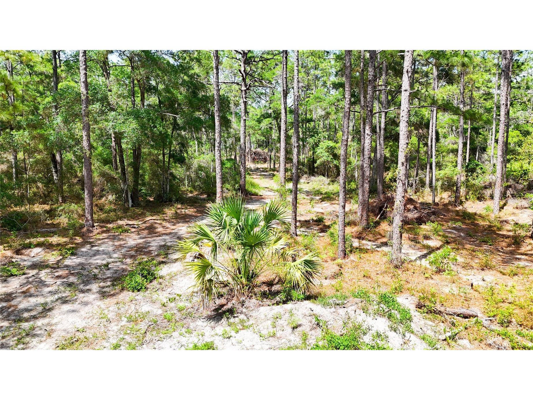 0 Windhaven Lane Brooksville FL 34614 W7885549 image12