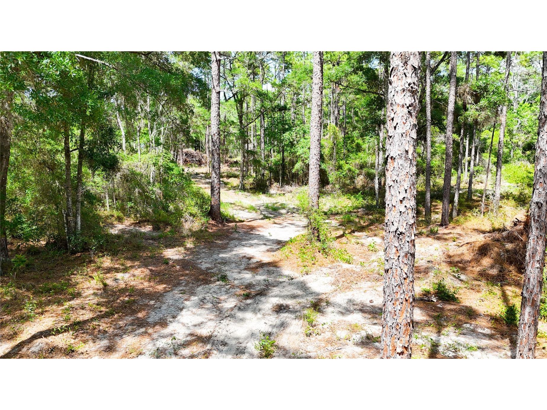 0 Windhaven Lane Brooksville FL 34614 W7885549 image13