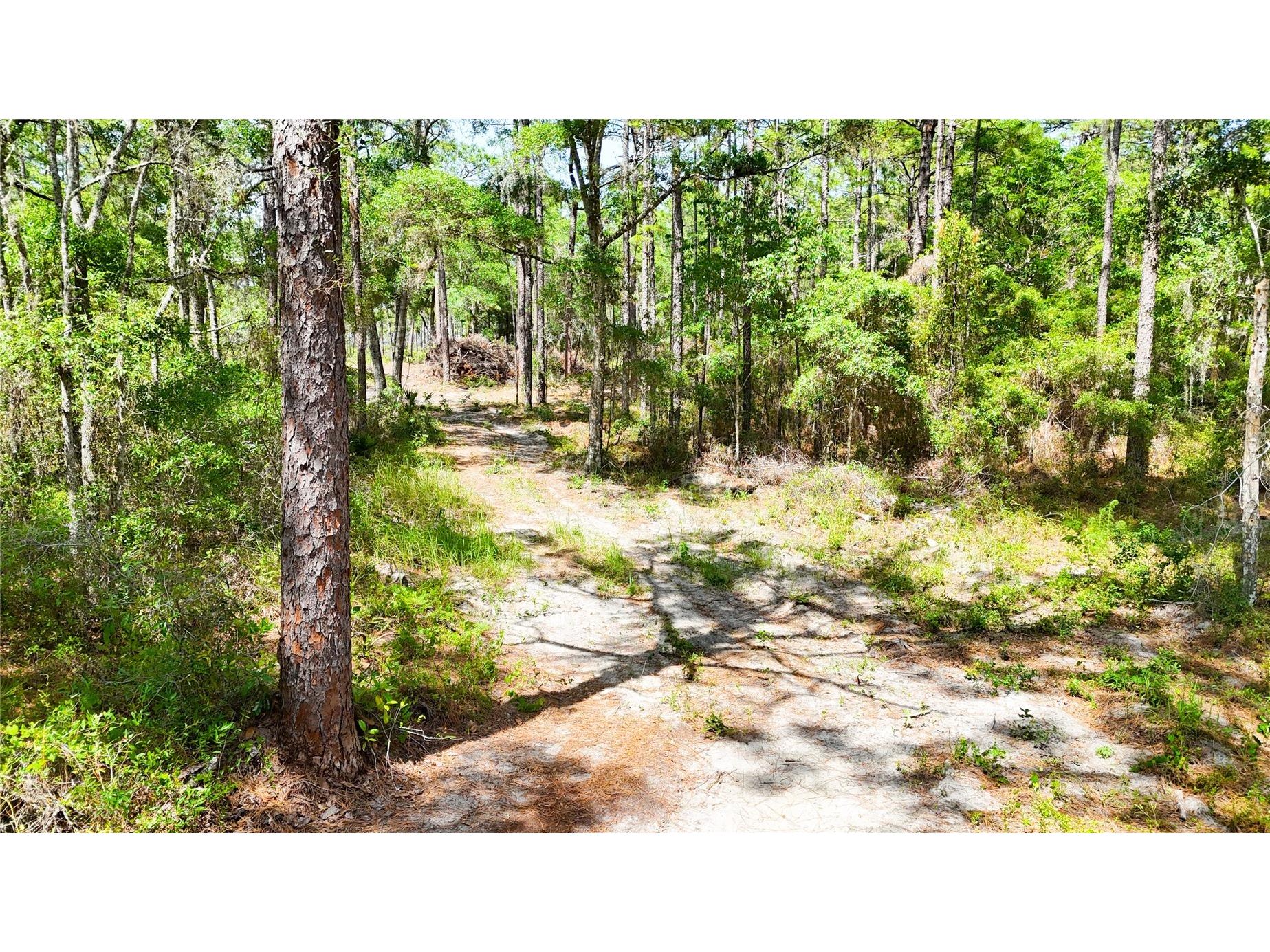 0 Windhaven Lane Brooksville FL 34614 W7885549 image14