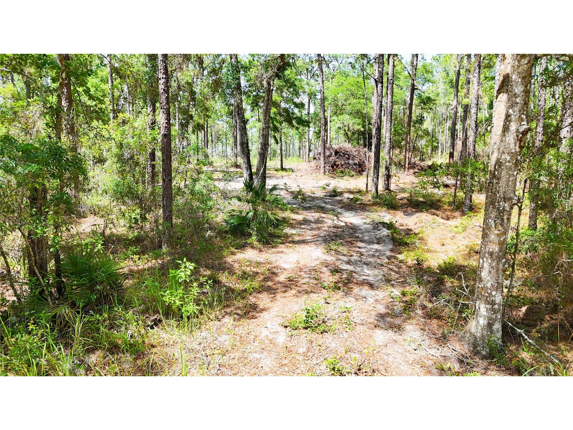 0 Windhaven Lane Brooksville FL 34614 W7885549 image15