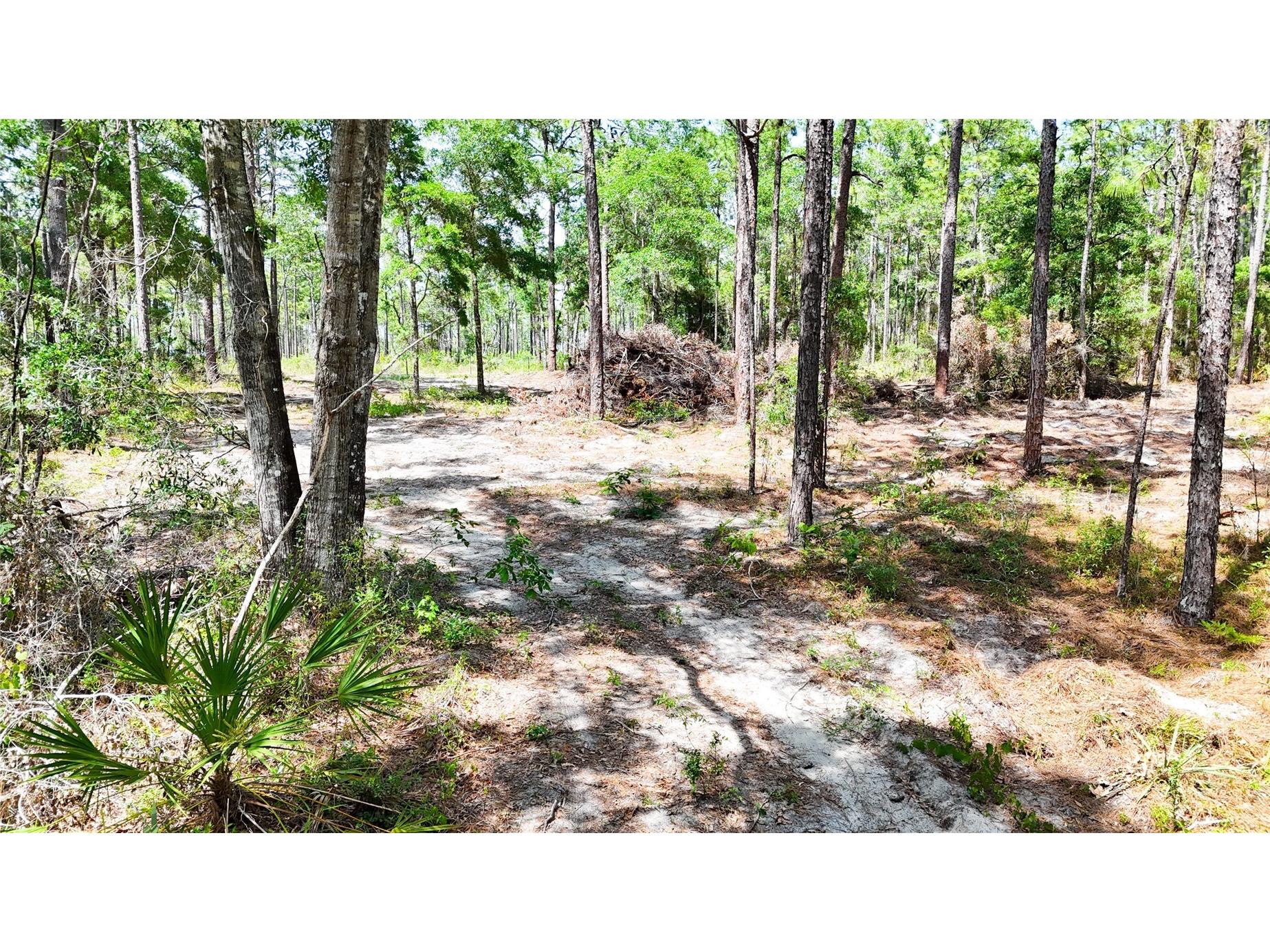 0 Windhaven Lane Brooksville FL 34614 W7885549 image16