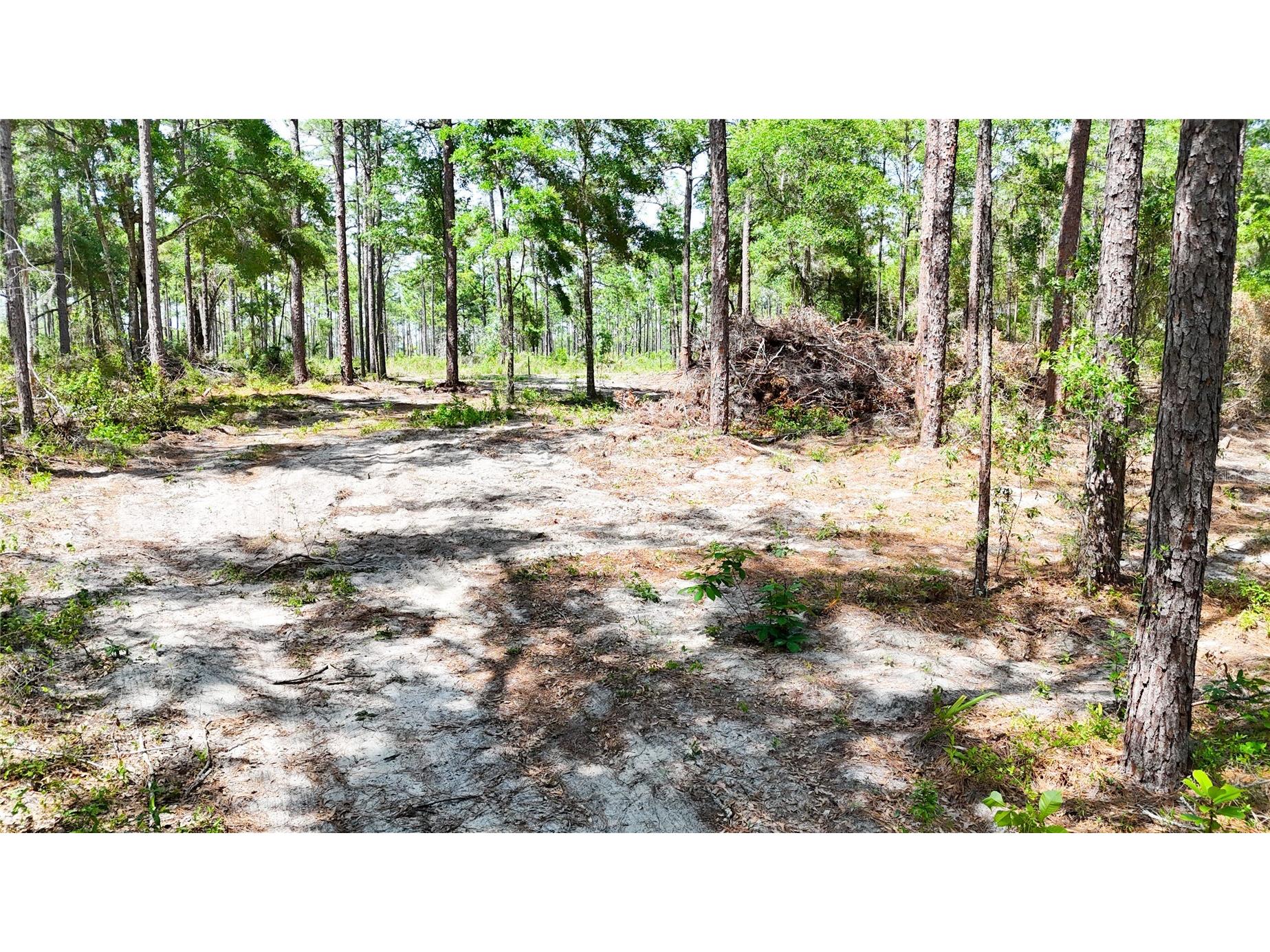 0 Windhaven Lane Brooksville FL 34614 W7885549 image17