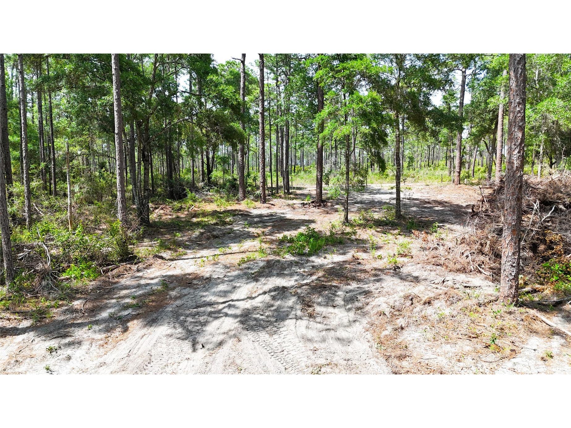 0 Windhaven Lane Brooksville FL 34614 W7885549 image18