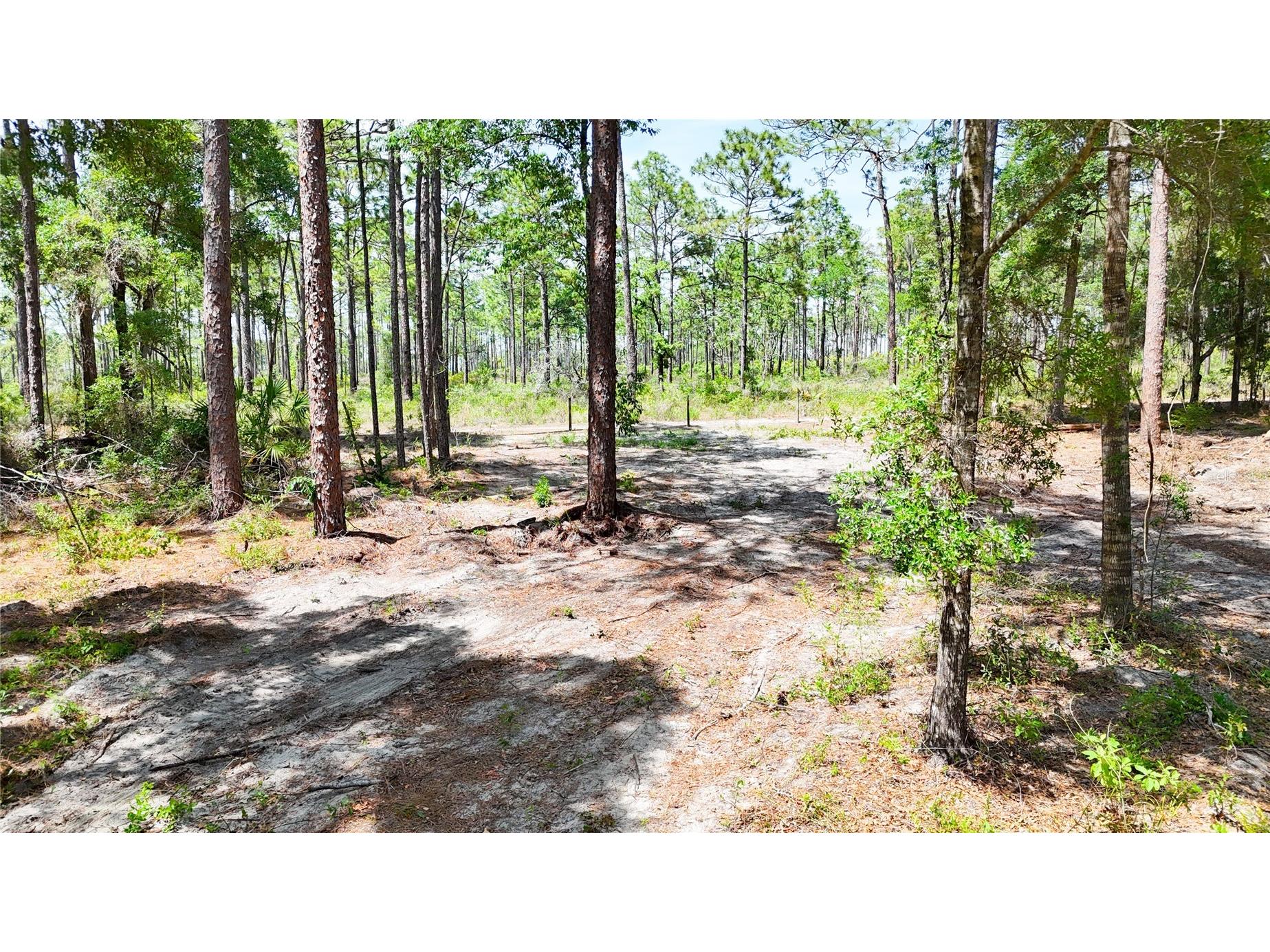 0 Windhaven Lane Brooksville FL 34614 W7885549 image19
