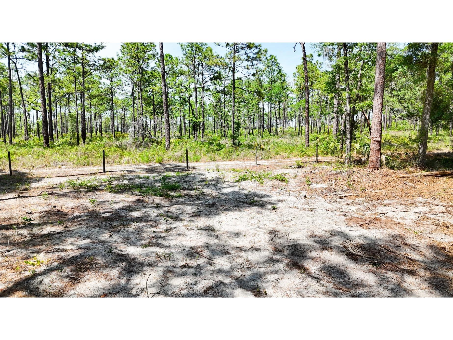 0 Windhaven Lane Brooksville FL 34614 W7885549 image20