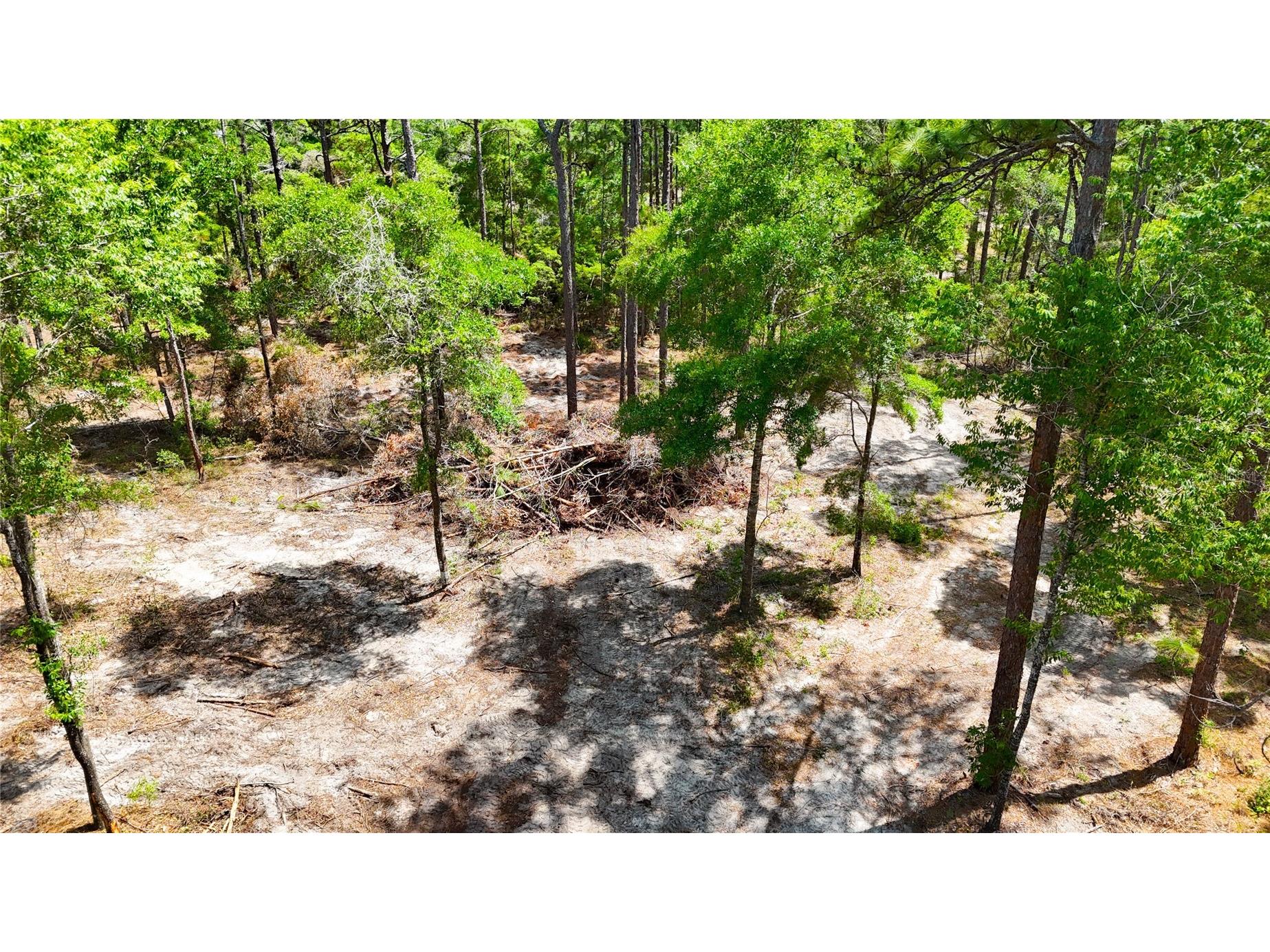 0 Windhaven Lane Brooksville FL 34614 W7885549 image5