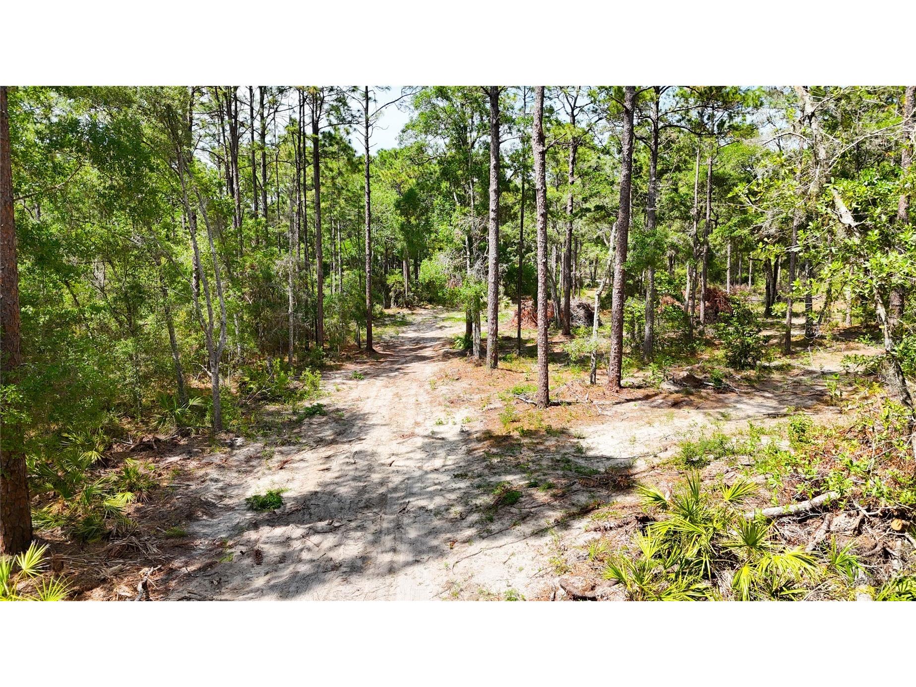 0 Windhaven Lane Brooksville FL 34614 W7885549 image6