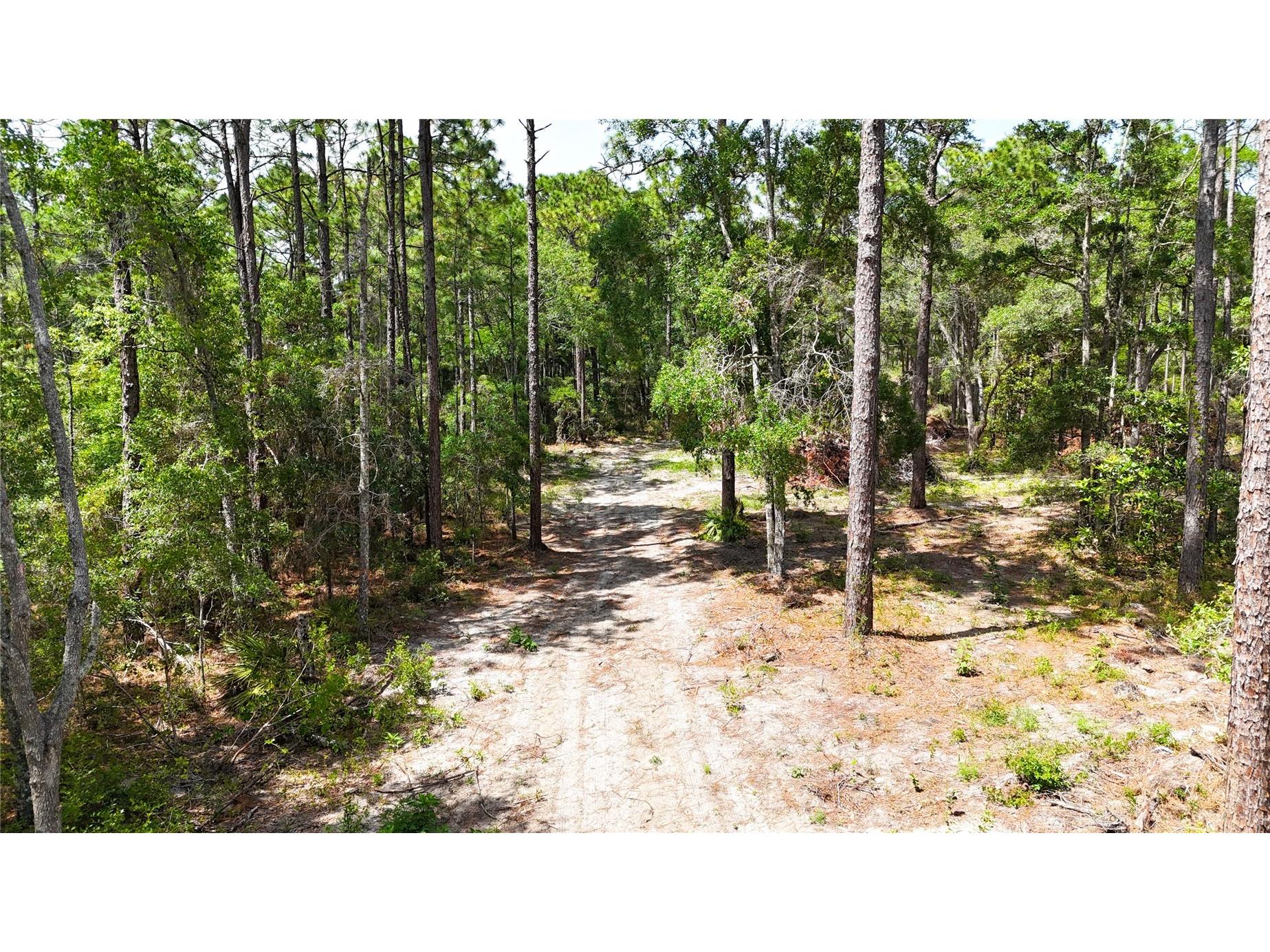 0 Windhaven Lane Brooksville FL 34614 W7885549 image7