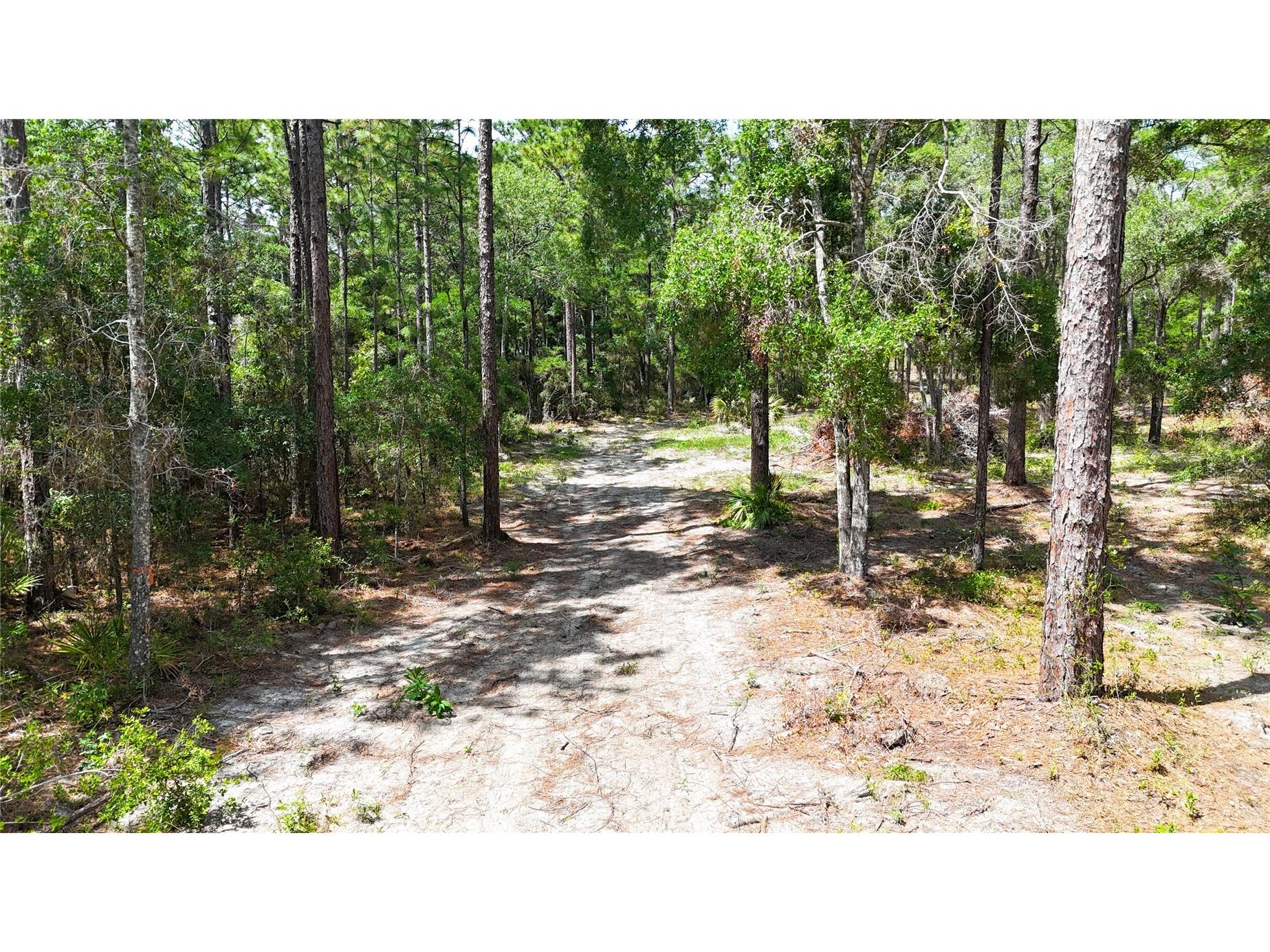 0 Windhaven Lane Brooksville FL 34614 W7885549 image8