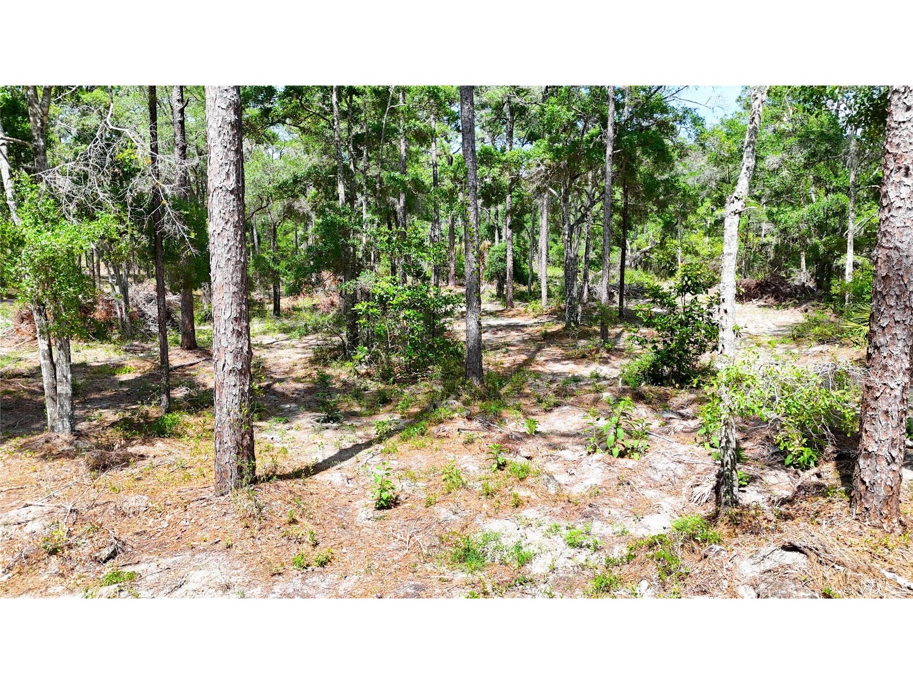 0 Windhaven Lane Brooksville FL 34614 W7885549 image9