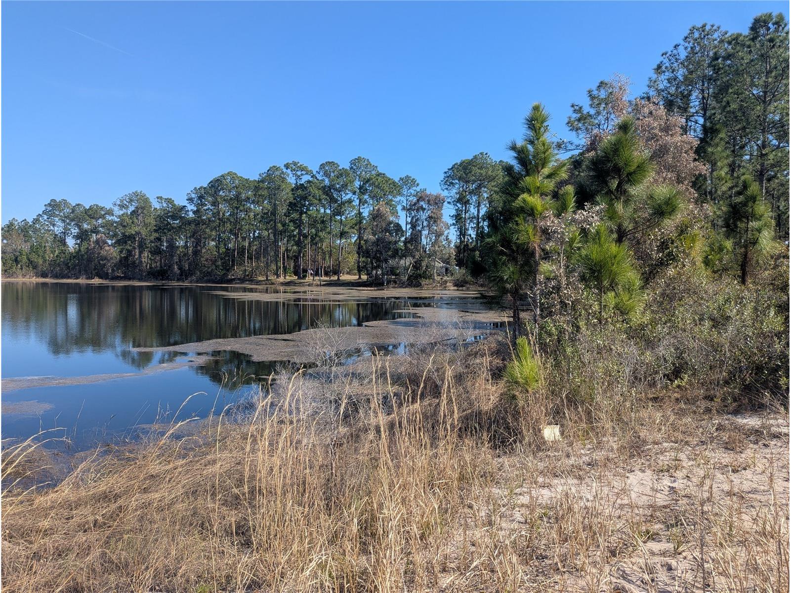 0 Winter Haven Drive Indian Lake Estates FL 33855 - LAKE WALK IN THE WATER K4903293 image1