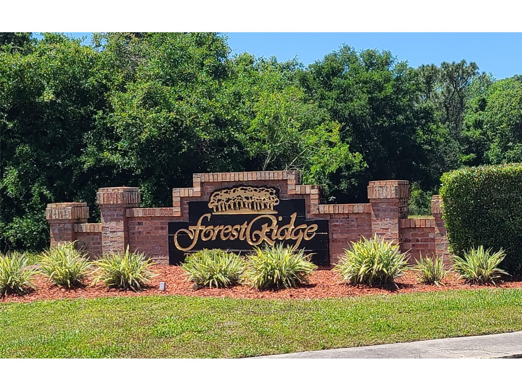 0 Wood Dove Lots 1.2.3.&4 Avenue Tarpon Springs FL 34689 TB8366231 image1