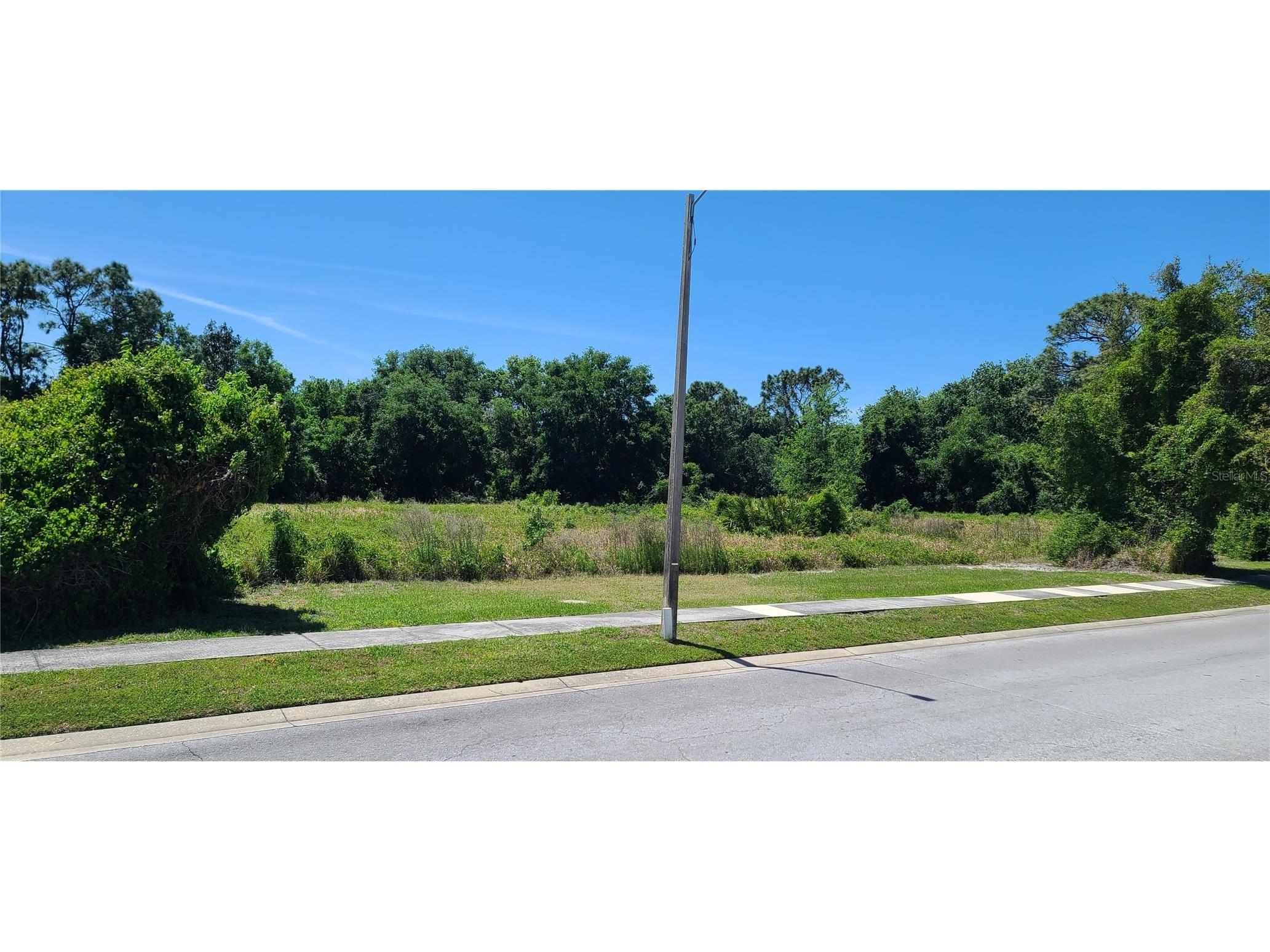 0 Wood Dove Lots 1.2.3.&4 Avenue Tarpon Springs FL 34689 TB8366231 image5