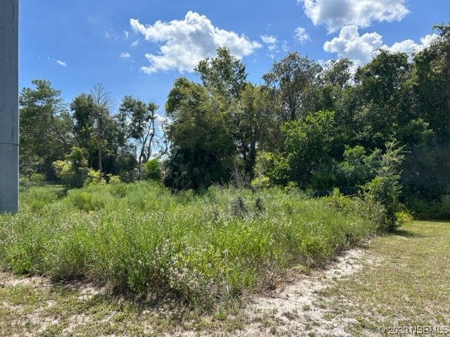 0 Williams Ave Orange City FL 32763 NS1076842 image1