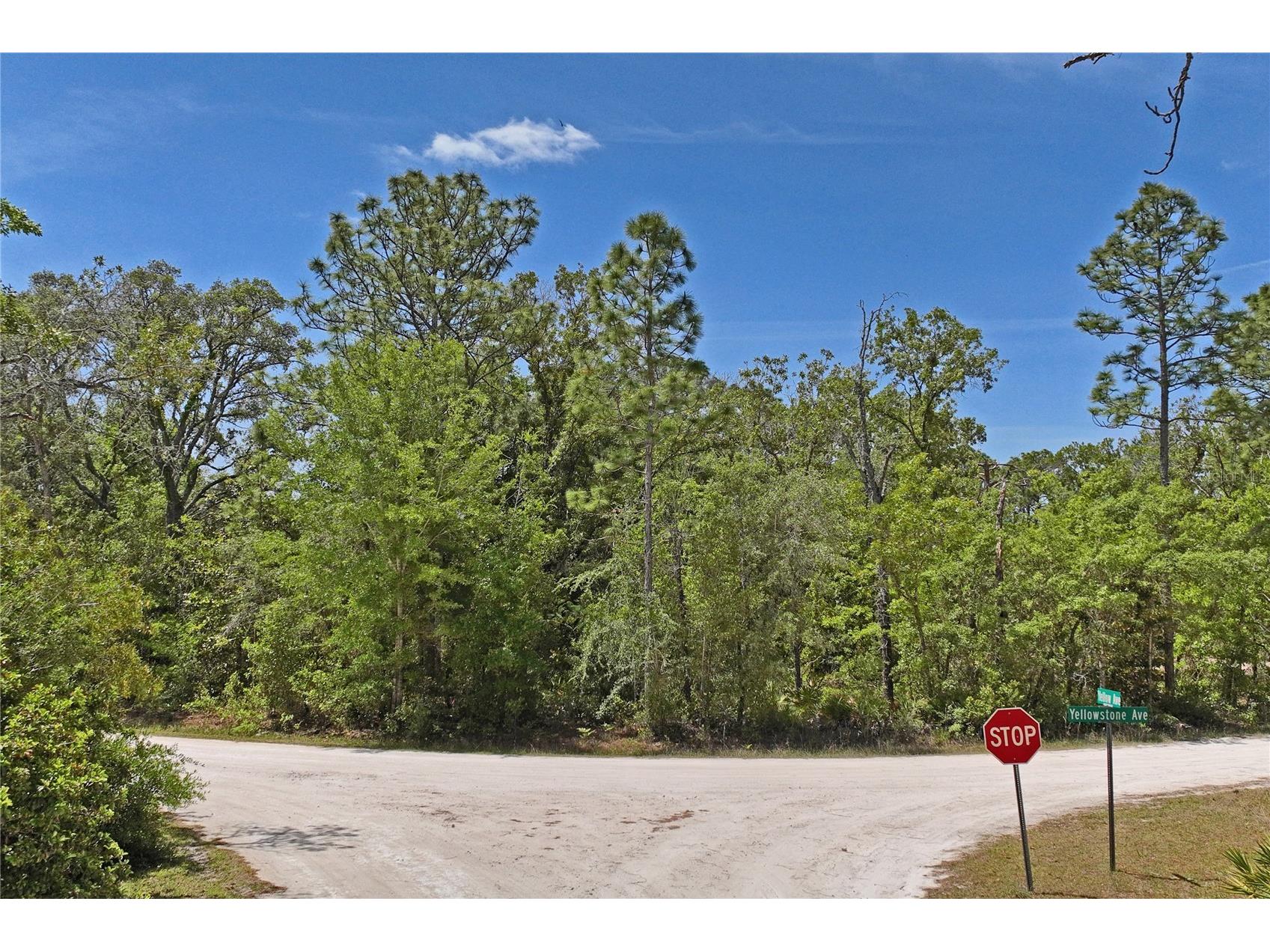 0 Yellowstone Avenue Weeki Wachee FL 34614 W7885049 image14
