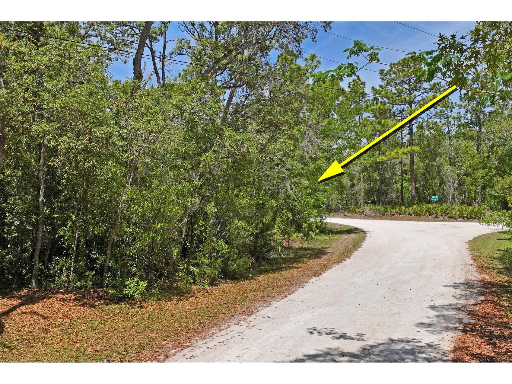 0 Yellowstone Avenue Weeki Wachee FL 34614 W7885049 image17