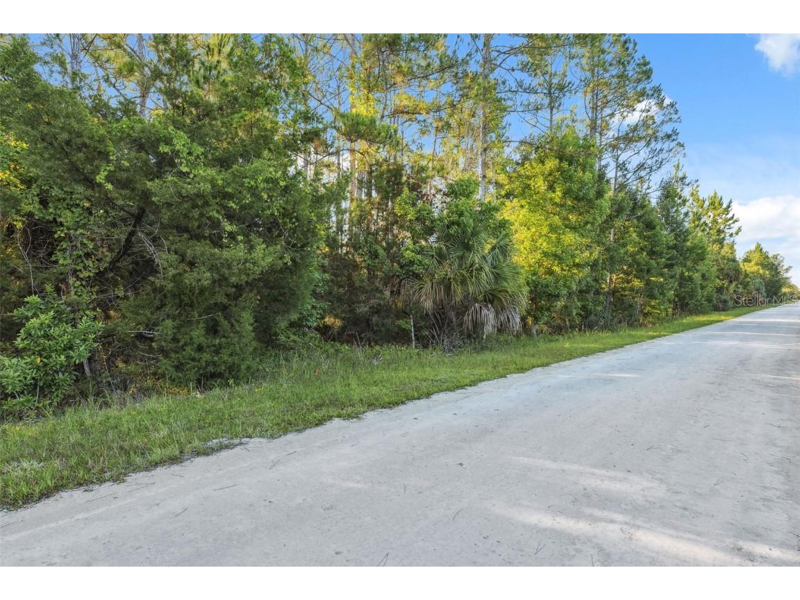 0 Yellowthroat Avenue Weeki Wachee FL 34614 W7876635 image15