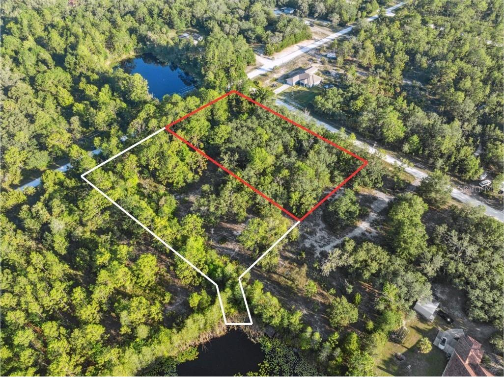0 Yellowthroat Avenue Weeki Wachee FL 34614 W7876635 image4