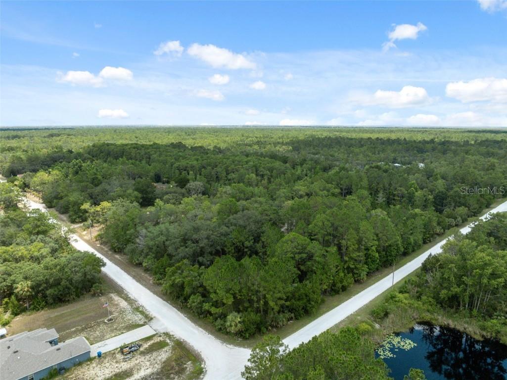 0 Yellowthroat Avenue Weeki Wachee FL 34614 W7876635 image5