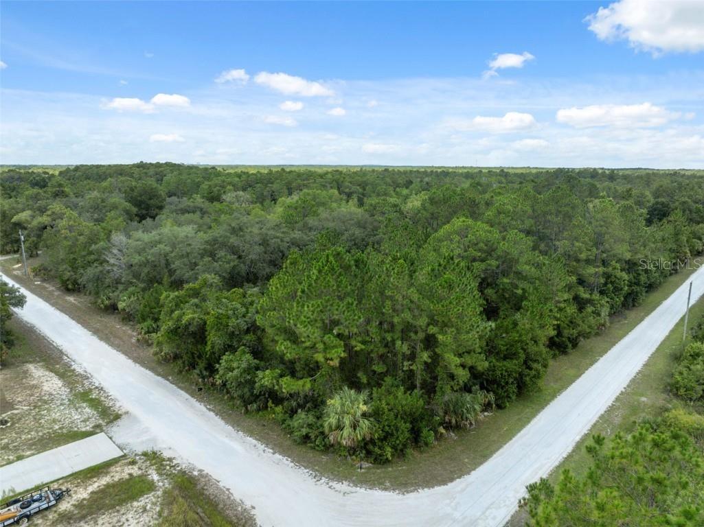 0 Yellowthroat Avenue Weeki Wachee FL 34614 W7876635 image7