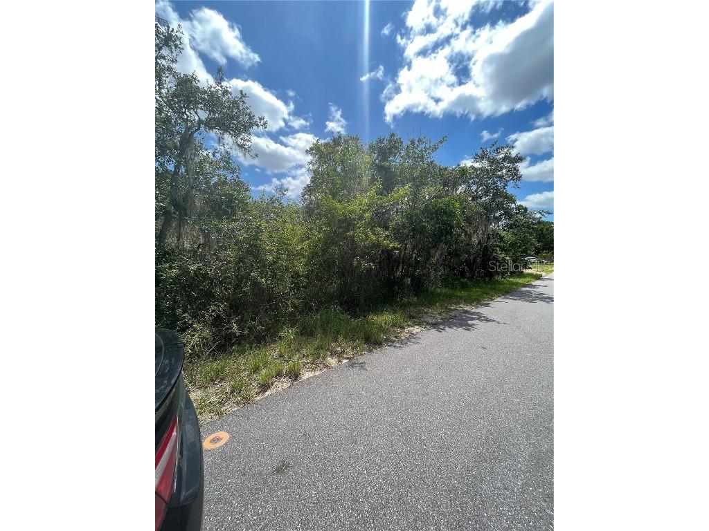 0 Young Road Lake Wales FL 33898 O6137242 image1