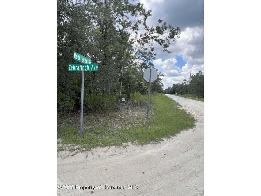 0 Zebrafinch Avenue Weeki Wachee FL 34614 TB8415321 image1
