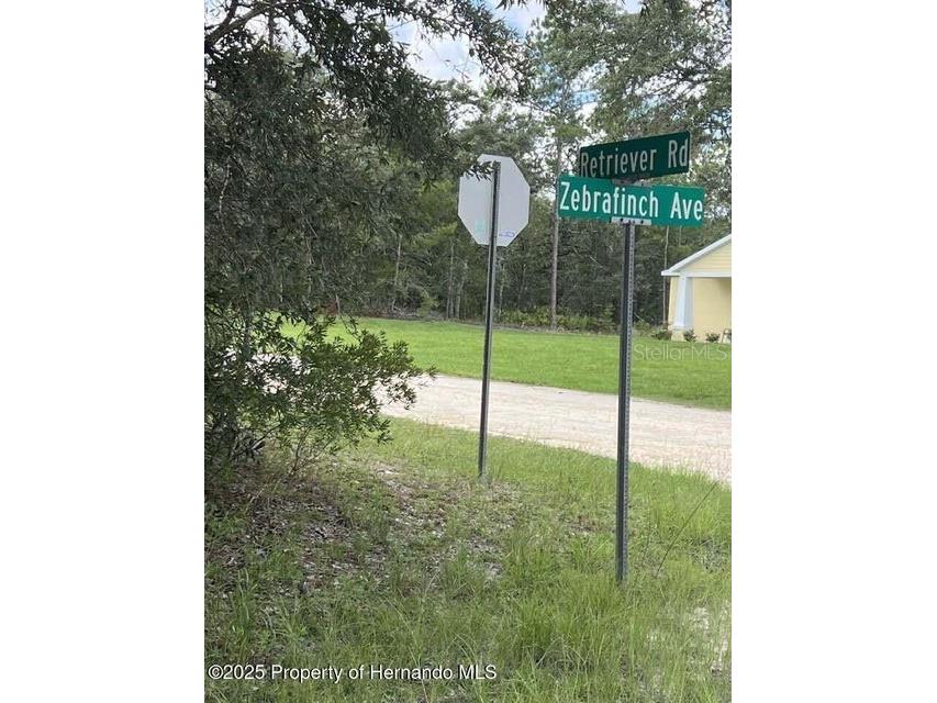 0 Zebrafinch Avenue Weeki Wachee FL 34614 TB8415321 image2