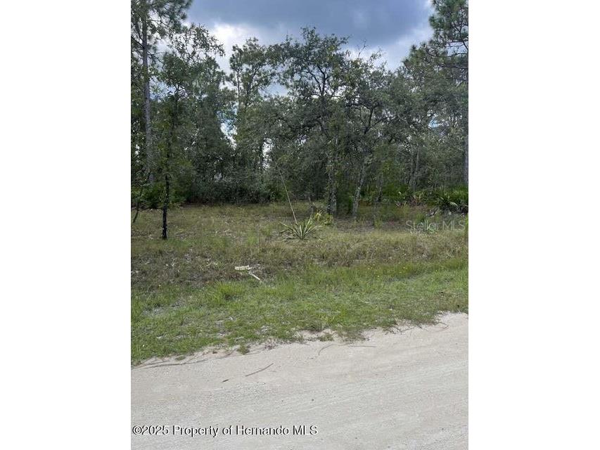 0 Zebrafinch Avenue Weeki Wachee FL 34614 TB8415321 image3