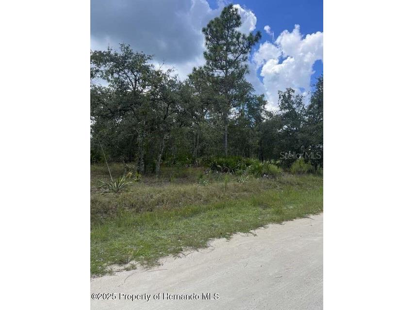 0 Zebrafinch Avenue Weeki Wachee FL 34614 TB8415321 image4