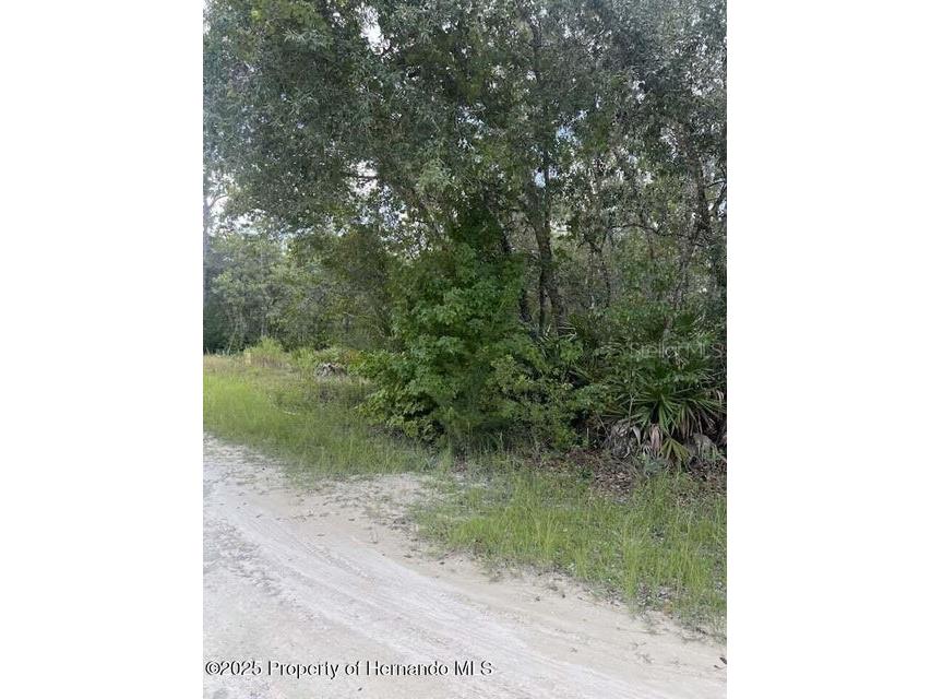 0 Zebrafinch Avenue Weeki Wachee FL 34614 TB8415321 image5