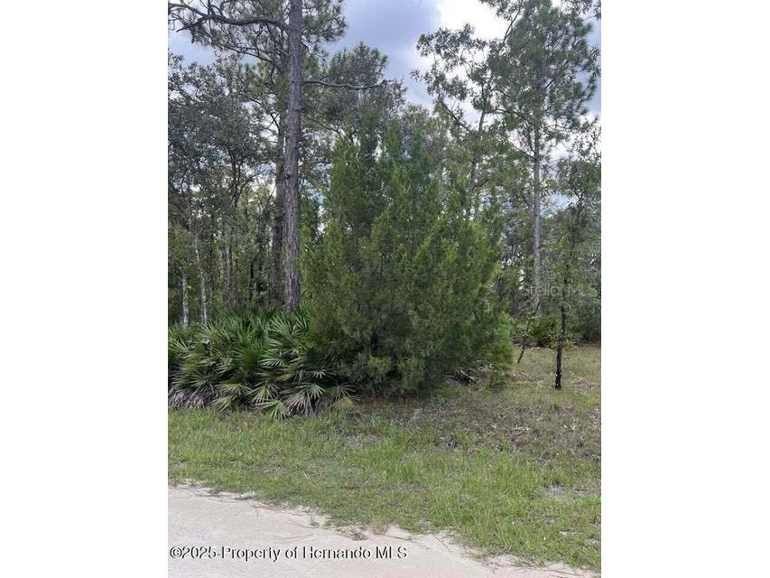 0 Zebrafinch Avenue Weeki Wachee FL 34614 TB8415321 image7