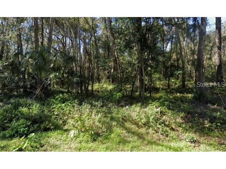 0 Zoller Street Brooksville FL 34601 TB8522364 image1