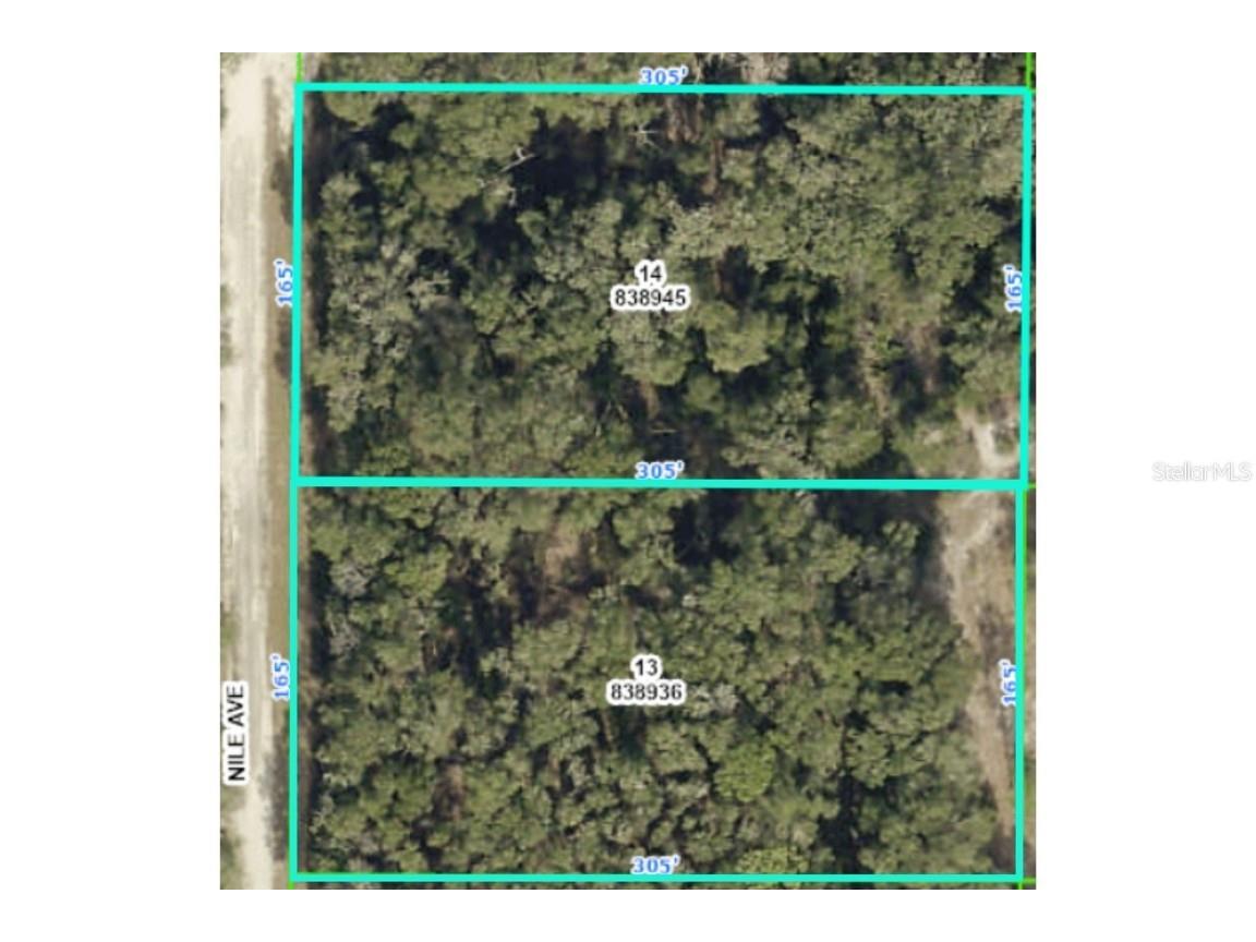 0 (lots 13 & 14) Nile Avenue Webster FL 33597 W7861140 image1