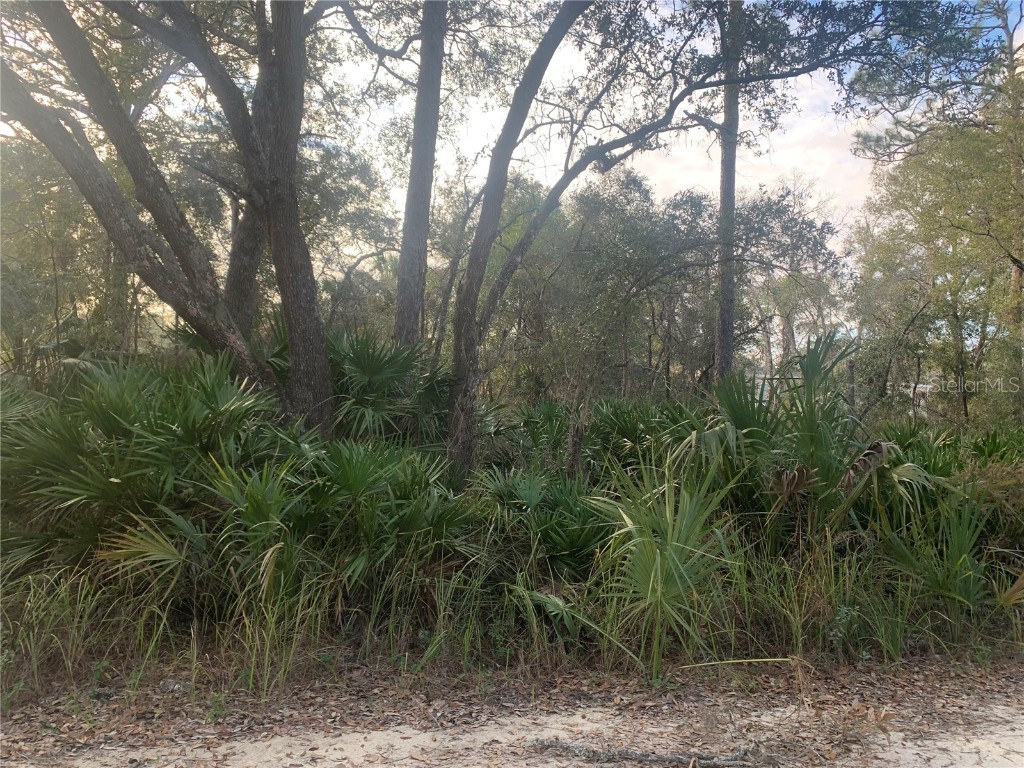 00 102nd Avenue Cedar Key FL 32625 W7861360 image1