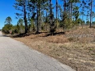 00 114th Place SE Dunnellon FL 34431 O6196401 image1