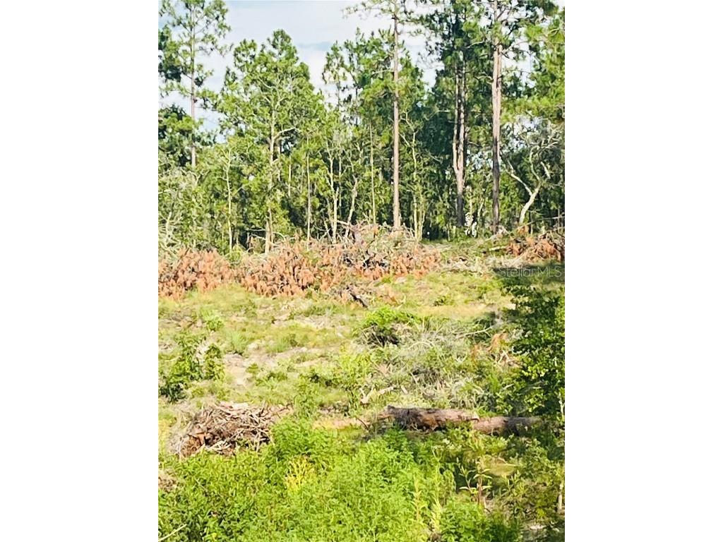 00 146th Terrace Williston FL 32696 GC514769 image1
