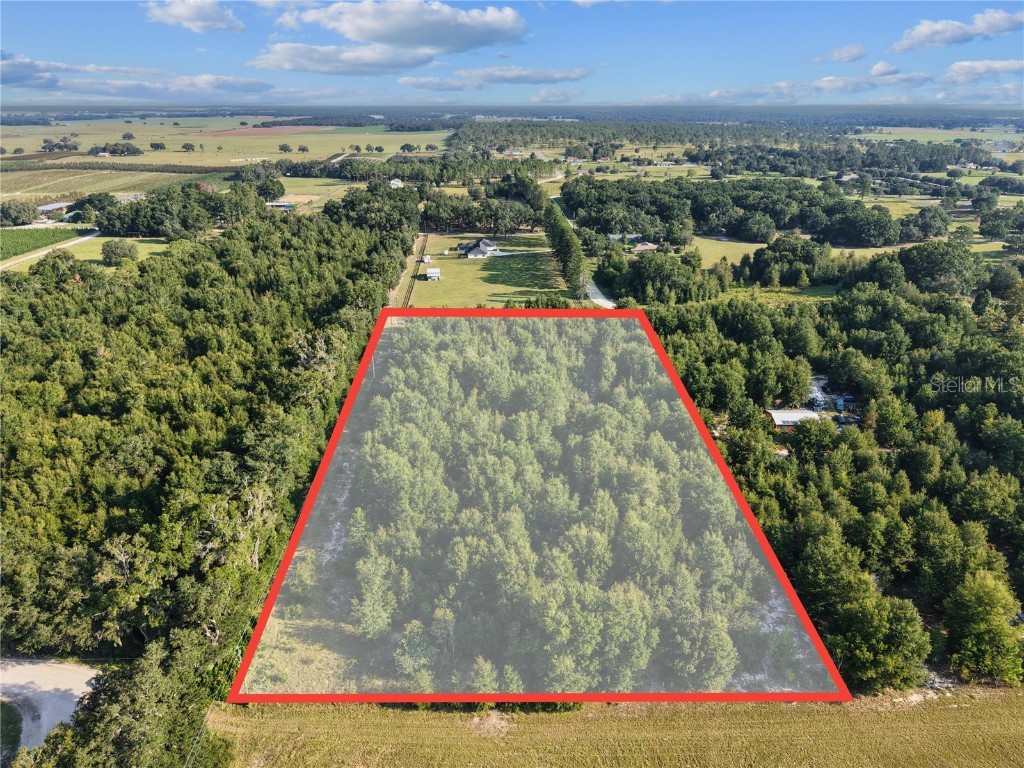 00 175th Avenue Morriston FL 32668 OM709861 image2