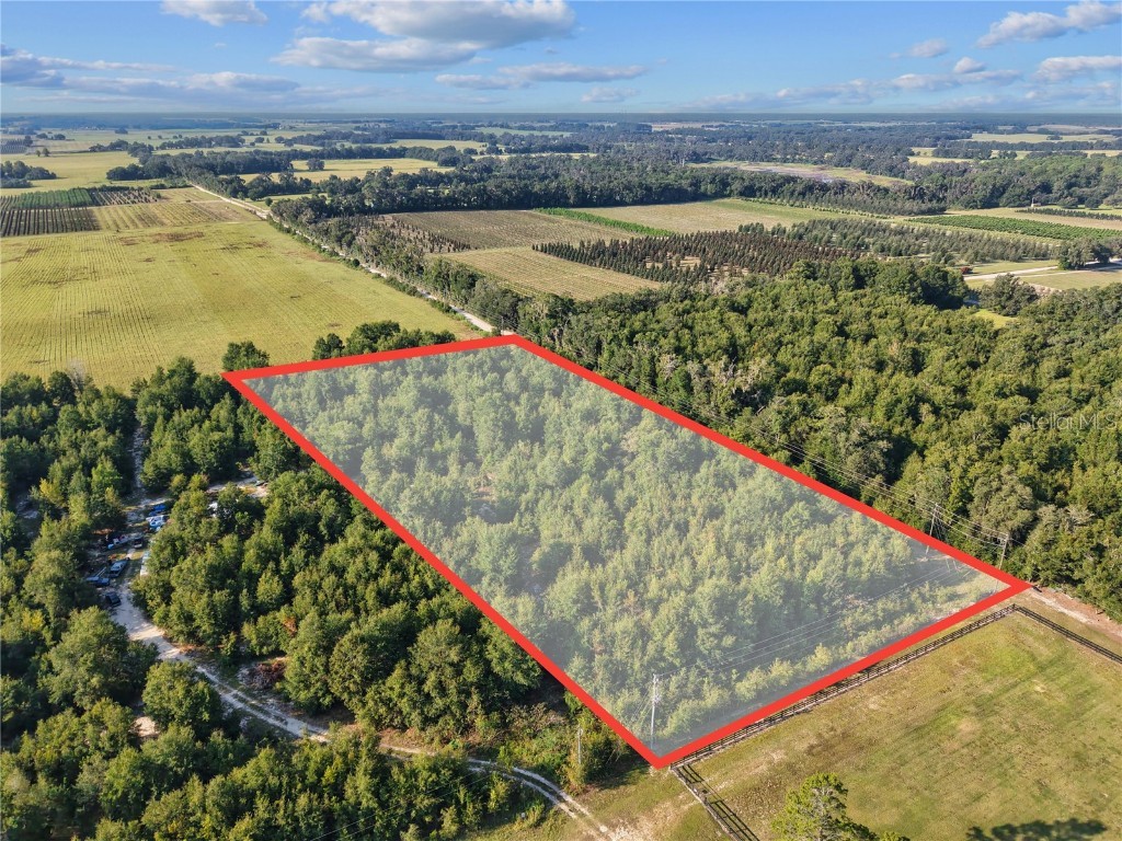 00 175th Avenue Morriston FL 32668 OM709861 image3