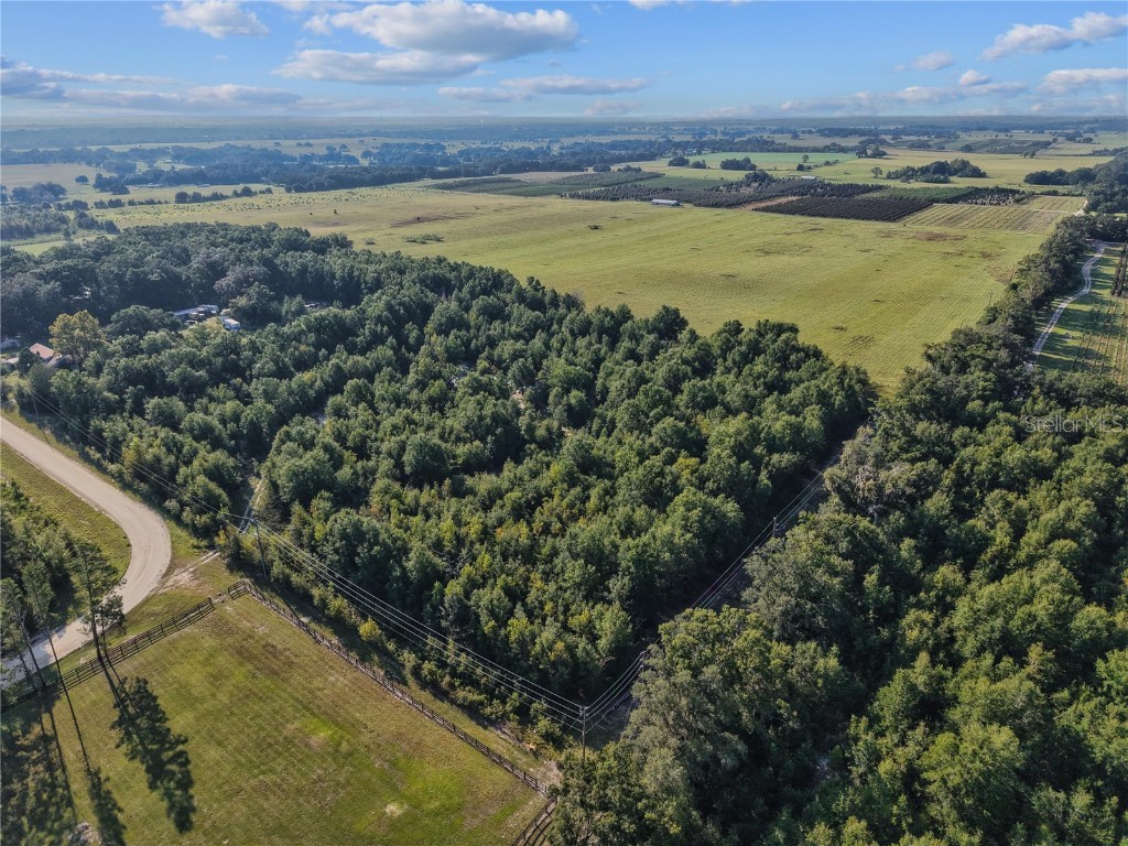 00 175th Avenue Morriston FL 32668 OM709861 image4