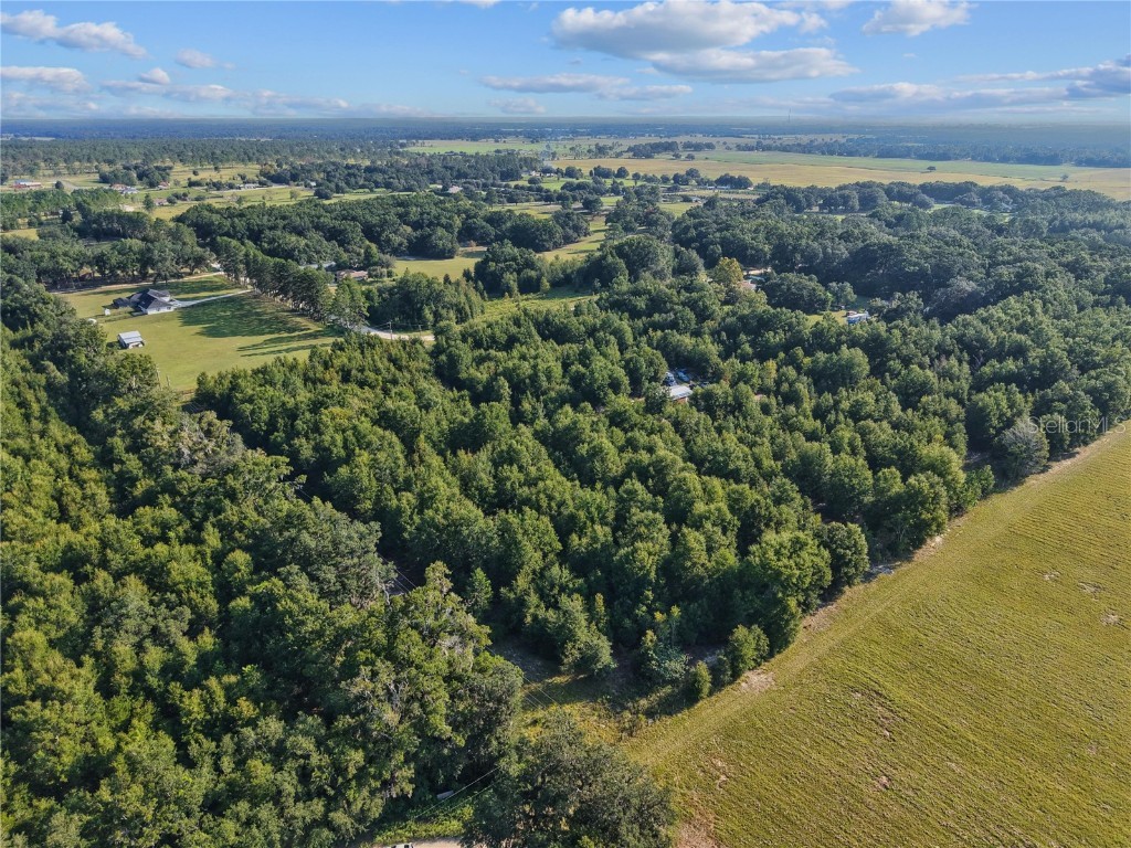 00 175th Avenue Morriston FL 32668 OM709861 image5