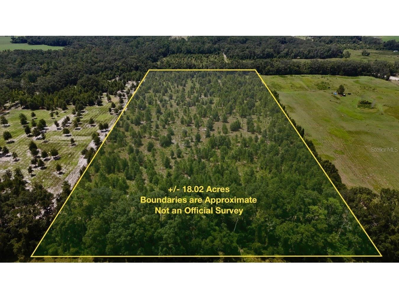 00 176th St Mc Alpin FL 32062 OM710480 image1