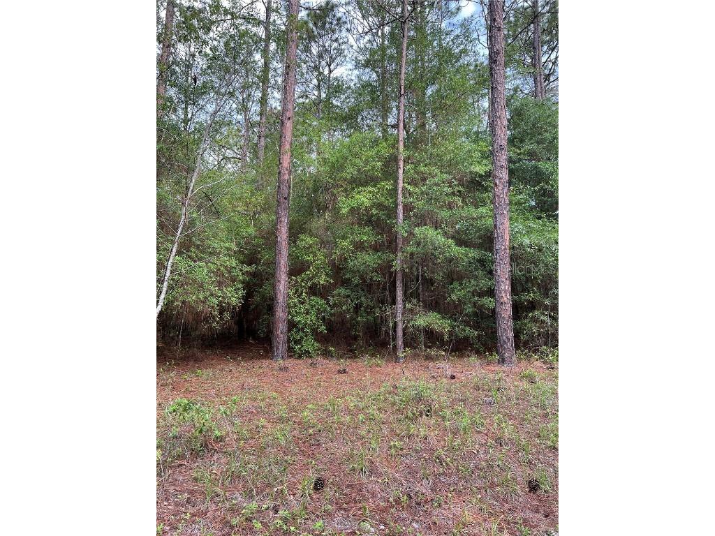 00 201 Avenue Dunnellon FL 34431 OM658810 image1