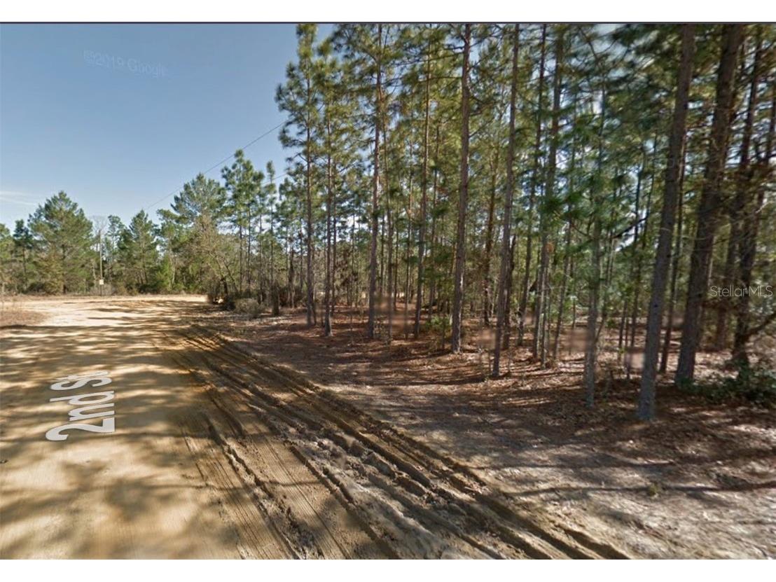 00 2nd Street Interlachen FL 32148 OM703295 image1