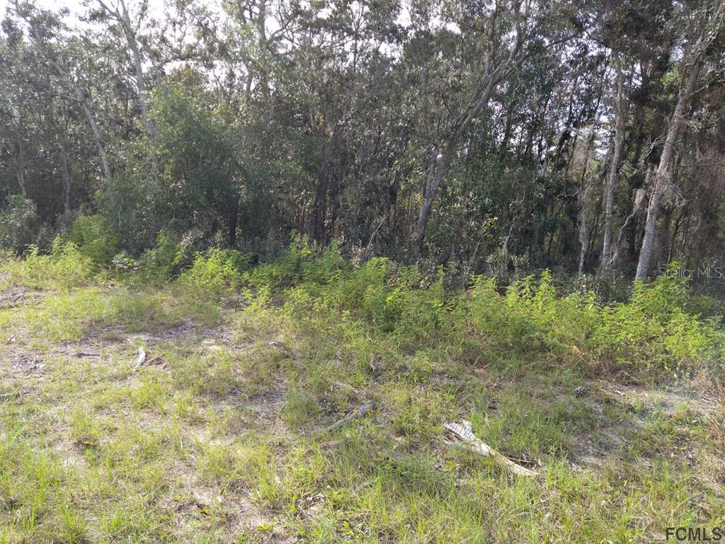 00 50th Circle Ocala FL 34473 FC275876 image2