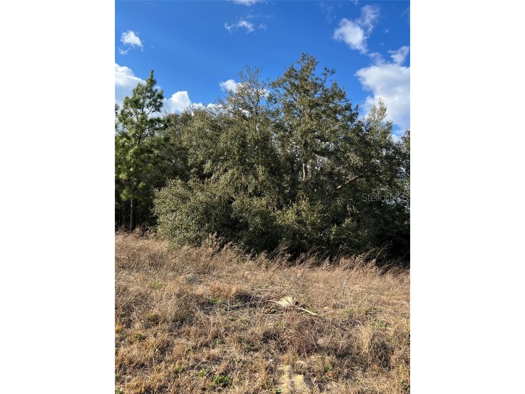 00 66th Loop Dunnellon FL 34432 OM652319 image1