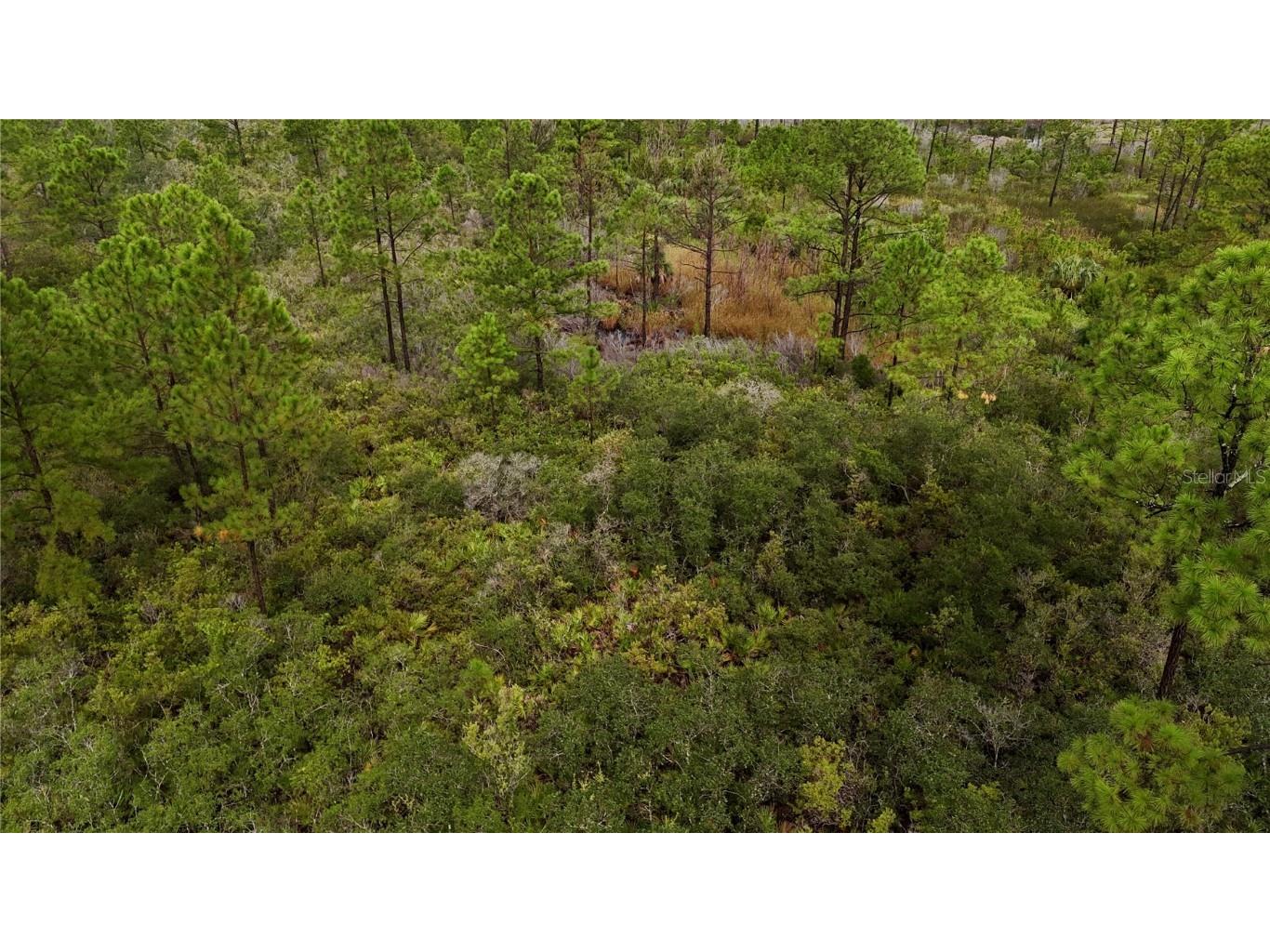 00 Adams Beach Road Perry FL 32348 OM708414 image11