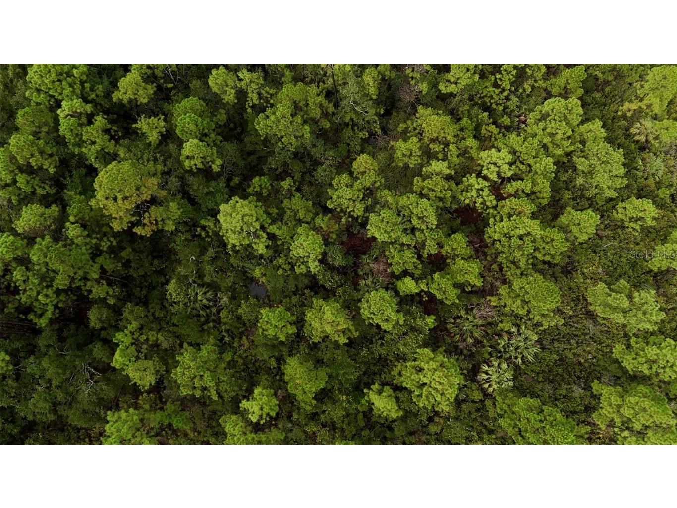 00 Adams Beach Road Perry FL 32348 OM708414 image12