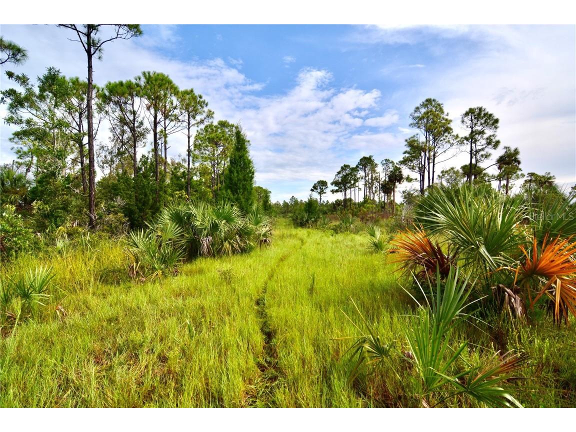 00 Adams Beach Road Perry FL 32348 OM708414 image13